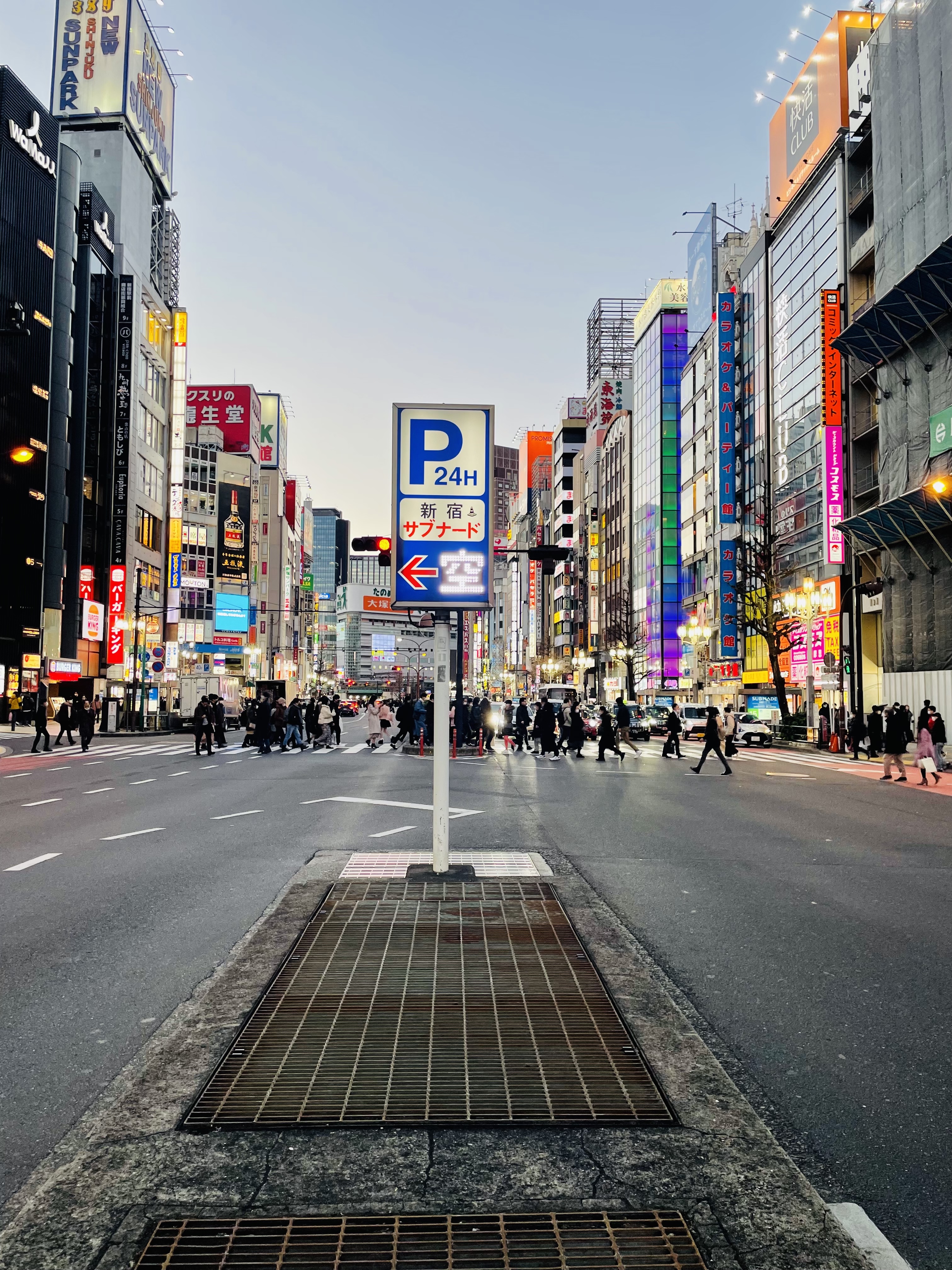 Tokyo crossing Busy Streets and Luxury Shopping